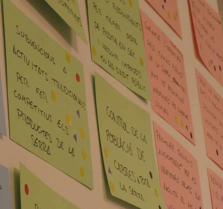 Procés participatiu vinculat a la proposta de declaració de la Serra de Tramuntana com a Patrimoni de la Humanitat (paisatge cultural)