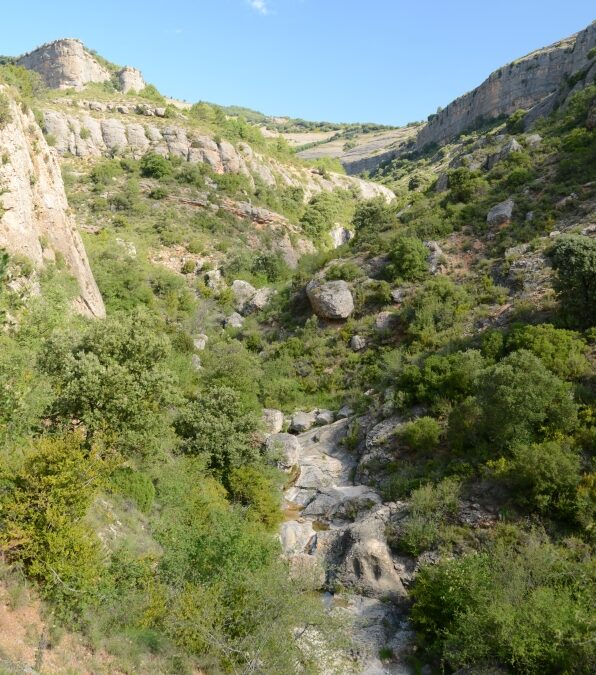 Pla director de l’ecoturisme a Tremp 2012-2016