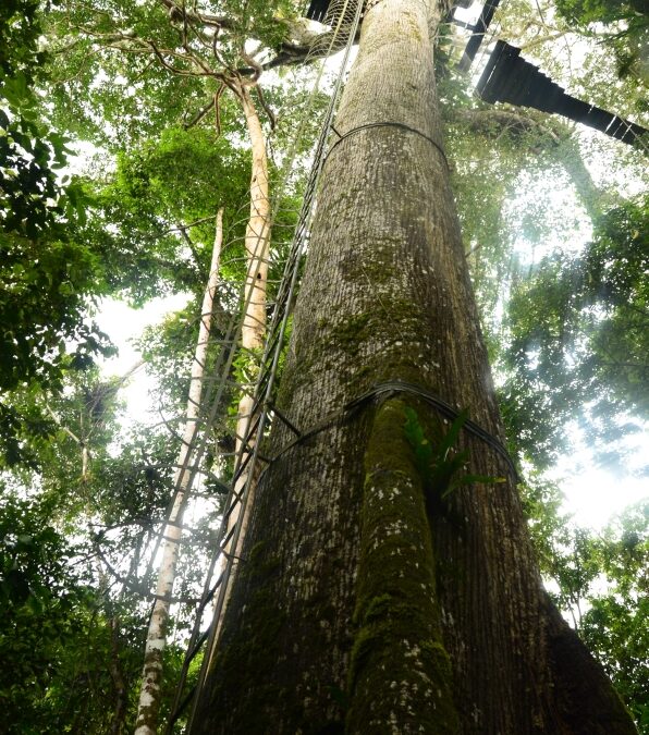Treball de camp per avaluar experiències turístiques en sis espais d’interès natural de Colòmbia