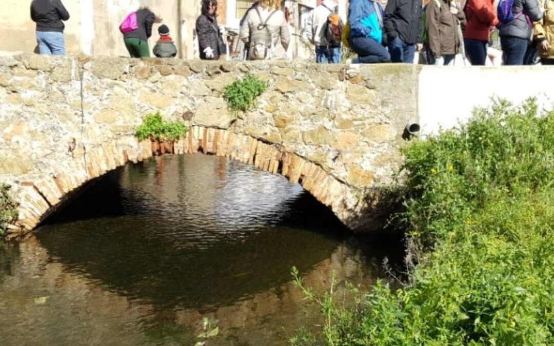 Mapatge ciutadà al Rec Comtal de Barcelona